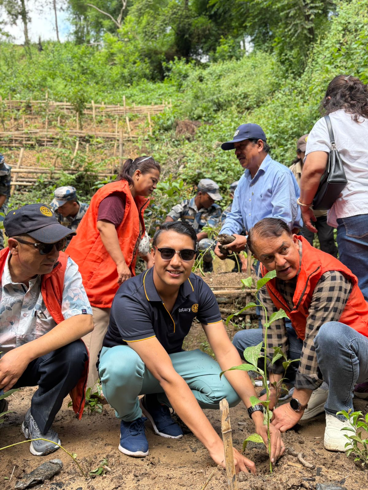 Plantation Program
